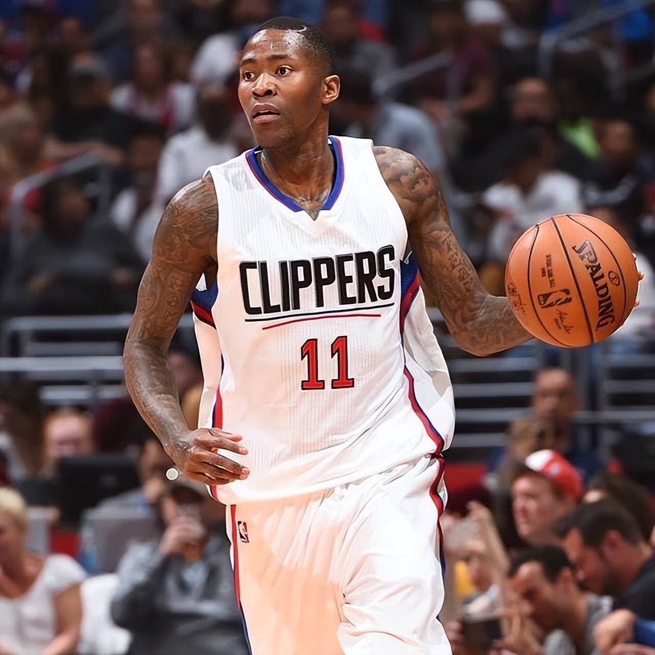 媒热捧的履 媒热捧的履